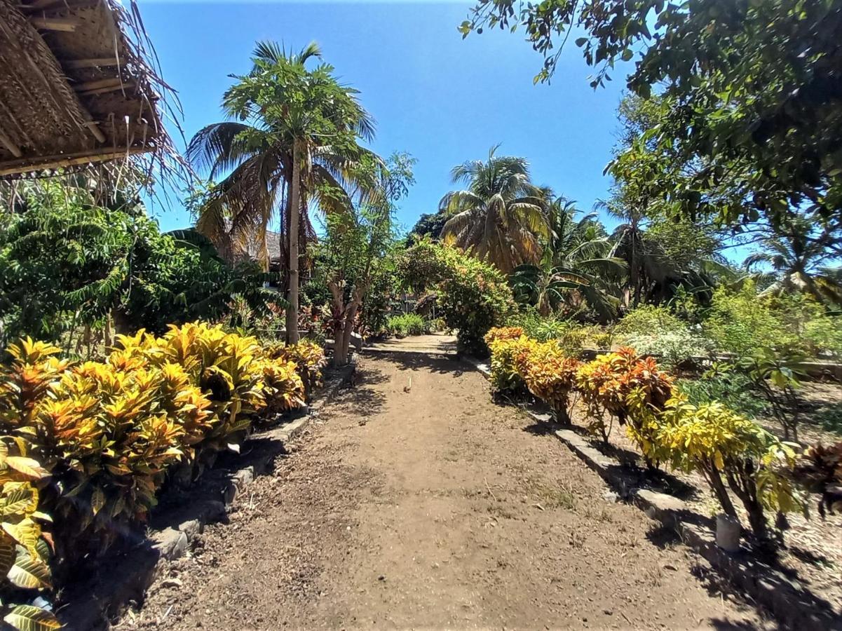 Moheli Laka Lodge Nioumachoua エクステリア 写真